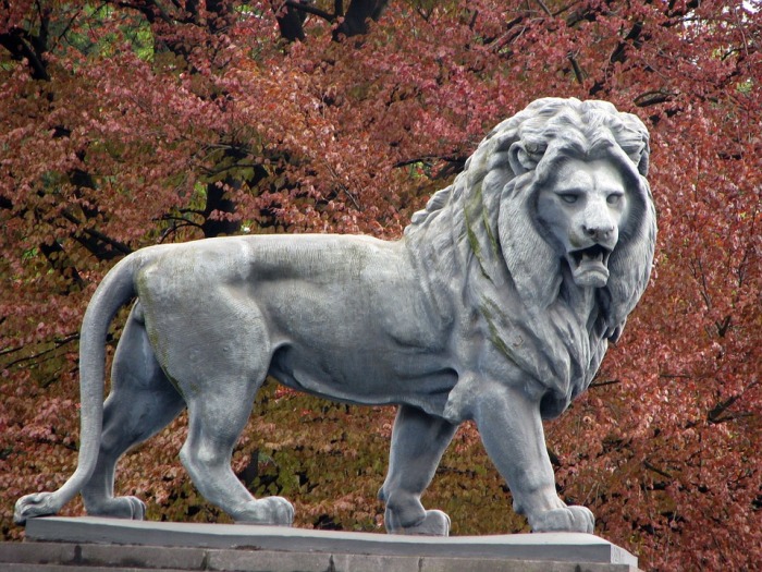 Bruxelles Lion